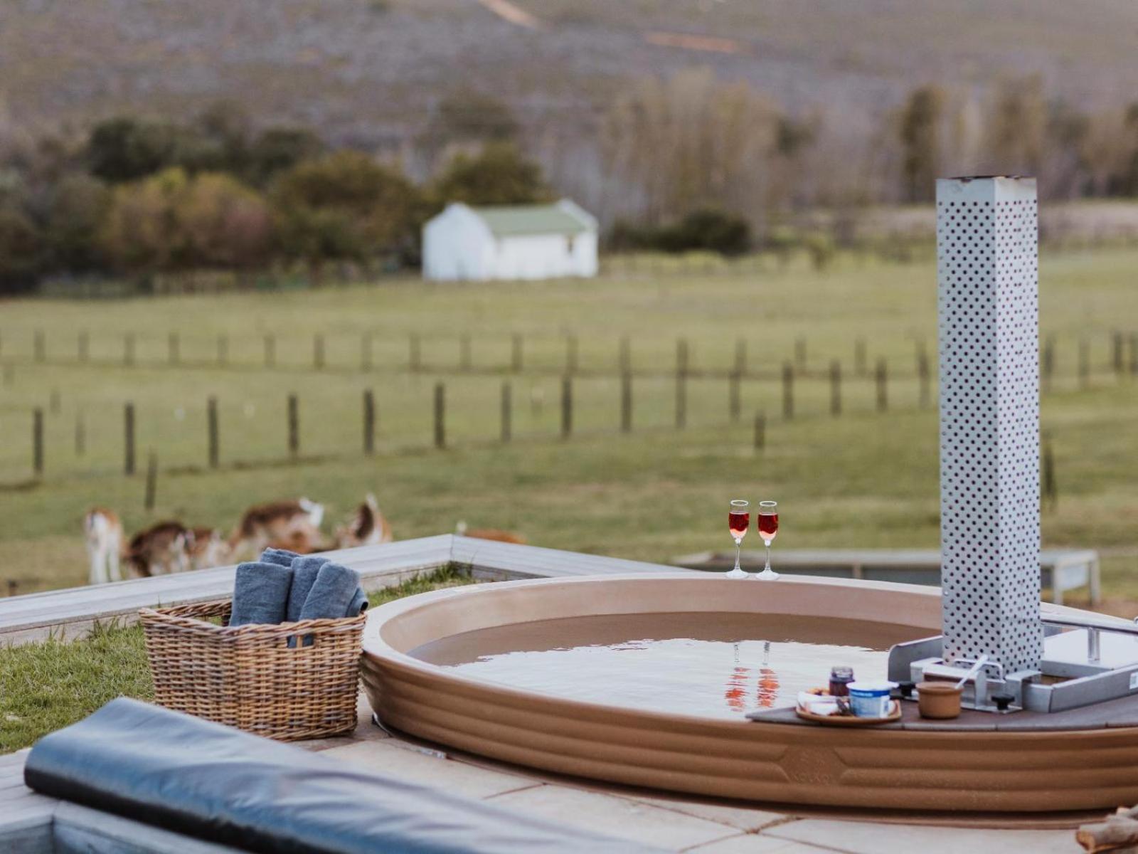 Apartment Ou Meul Farm Botrivier