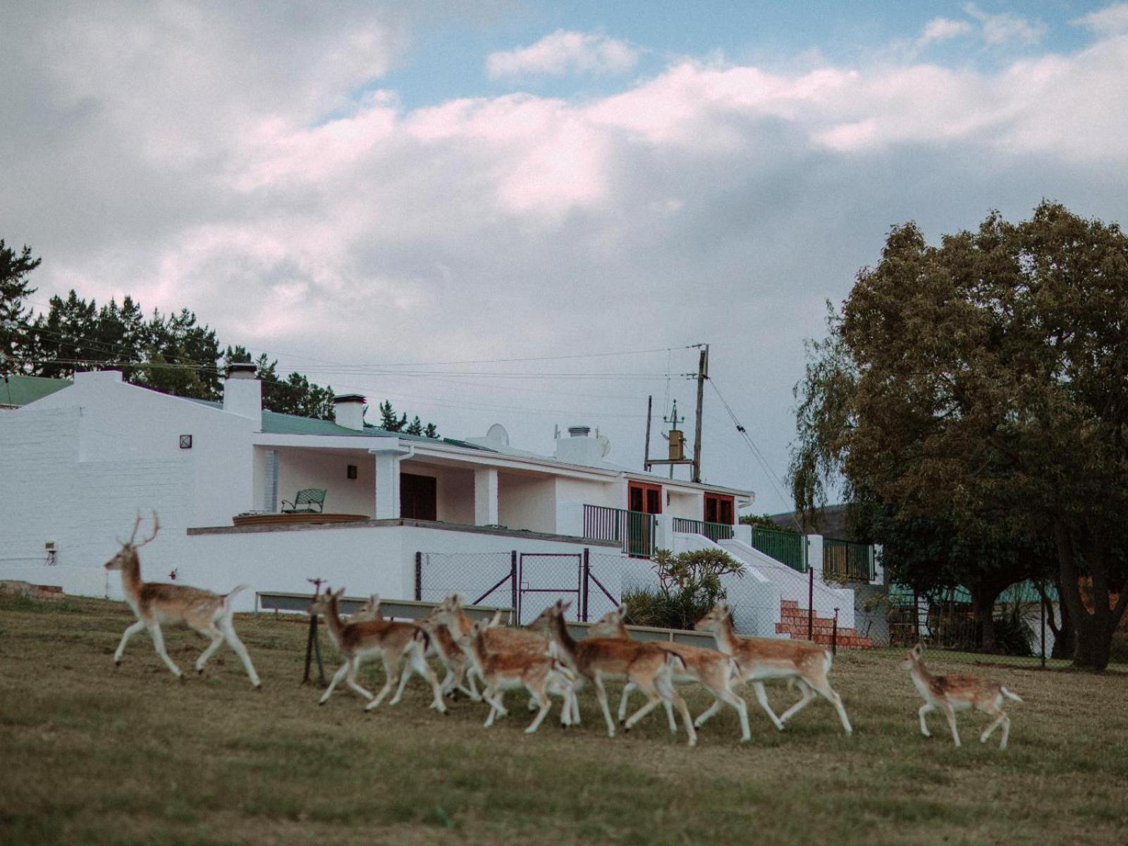 Ou Meul Farm *